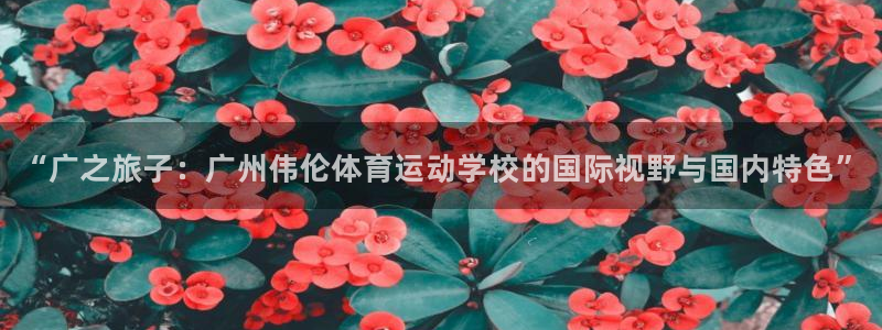 德国yy易游官方正版app集团