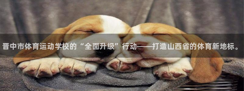 yy易游官网下载招商电话号码是多少号