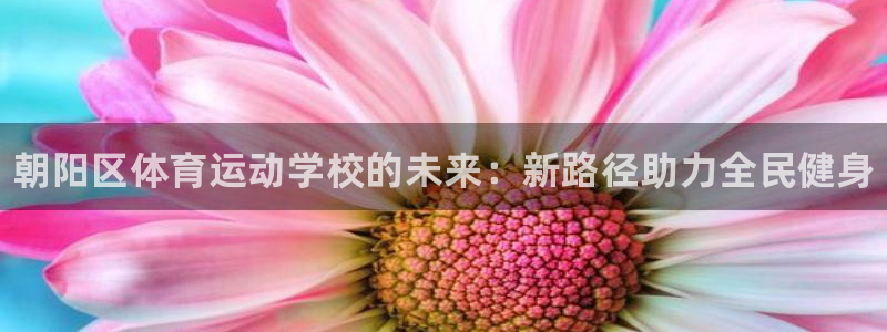 yy易游官网下载官方客服电话：朝阳区体育运动学校的未