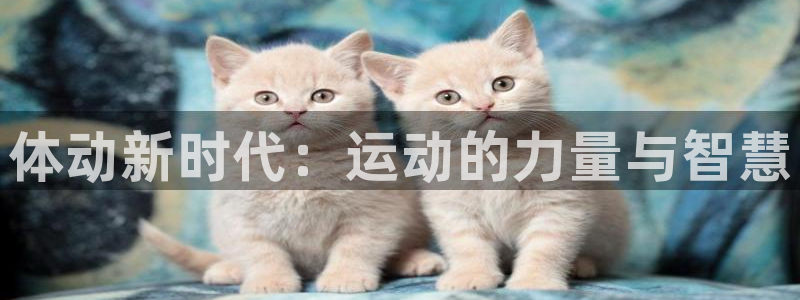 yy易游官方正版app集团简介