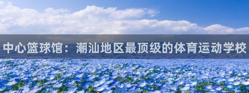 yy易游官方正版app娱乐平台