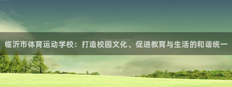 yy易游官方正版app娱乐40996：临沂市体育运动学校：打