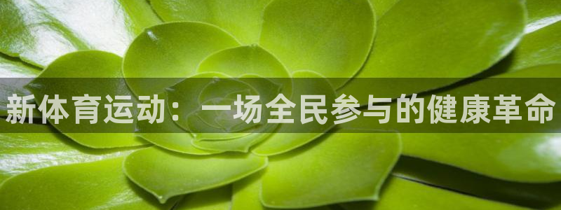 yy易游官方正版app官网：新体育运动：一场全民参与的健康革
