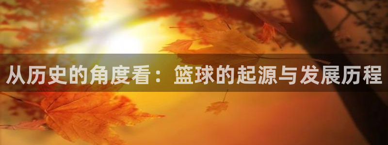 yy易游官网下载平台注册要钱吗安全吗：从历史的角度看：篮球的