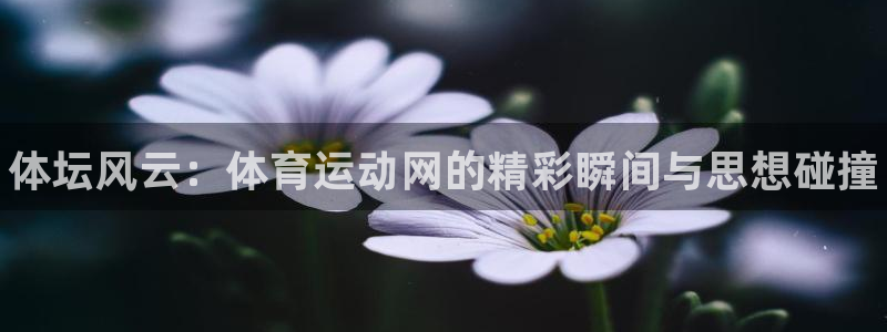 yy易游官网下载平台注册要钱吗：体坛风云：体育运动网的精彩瞬