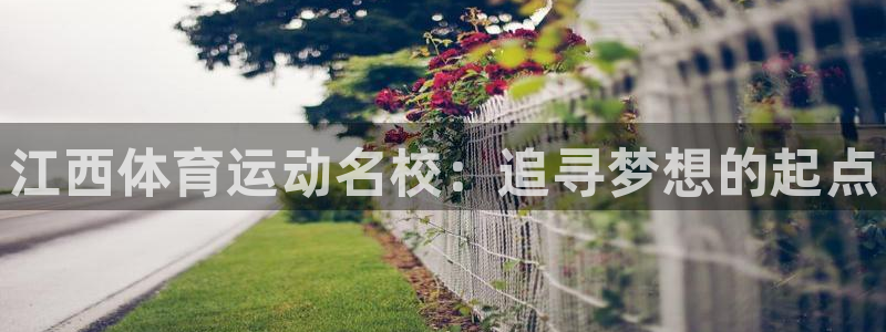 yy易游官网下载招商电话号码查询是多少：江西体育运动