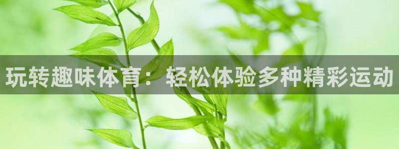 yy易游官方正版app娱乐平台：玩转趣味体育：轻松体
