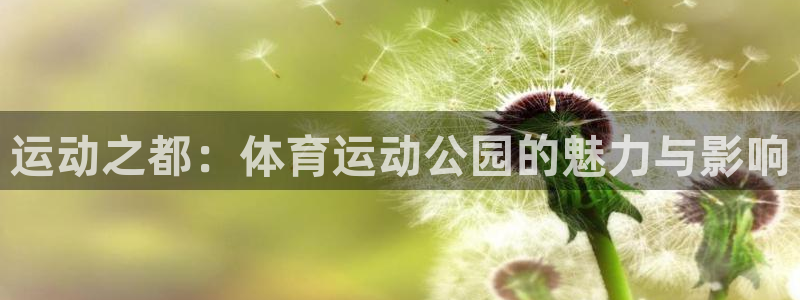 yy易游官网下载平台APP：运动之都：体育运动公园的