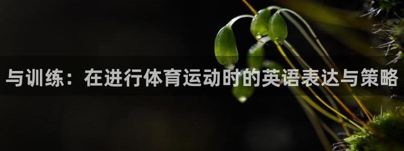 yy易游官网下载平台注册要钱吗安全吗：与训练：在进行