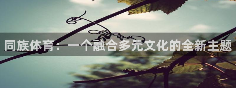 yy易游官网下载招商电话：同族体育：一个融合多元文化