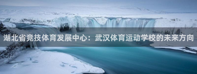 yy易游官方正版app娱乐是那个系列的台子：湖北省竞