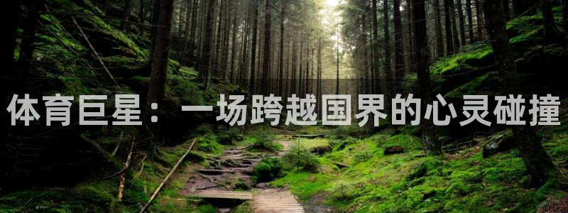 yy易游官网下载平台注册要钱吗：体育巨星：一场跨越国