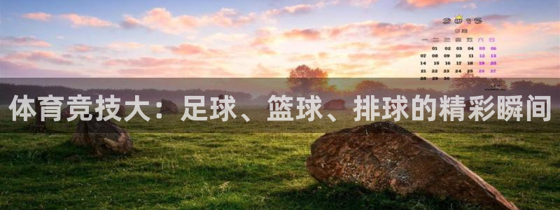 yy易游官网下载平台注册要钱吗安全吗：体育竞技大：足