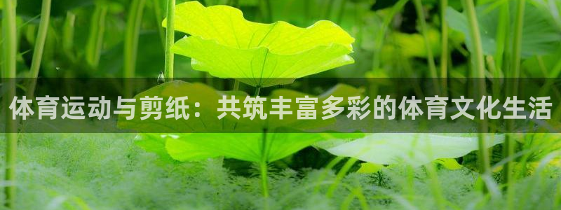 yy易游官方正版app官方：体育运动与剪纸：共筑丰富