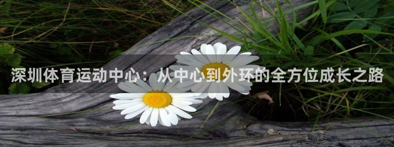 yy易游官方正版app娱乐代理怎么样：深圳体育运动中