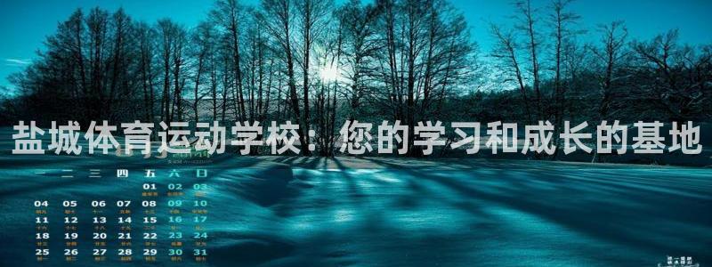 yy易游官方正版app新能源：盐城体育运动学校：您的