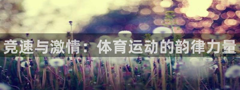 yy易游官方正版app神州：竞速与激情：体育运动的韵律力量
