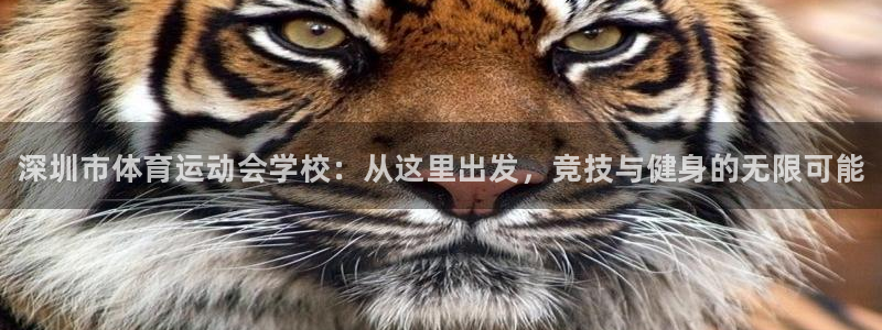 yy易游官网下载软件：深圳市体育运动会学校：从这里出