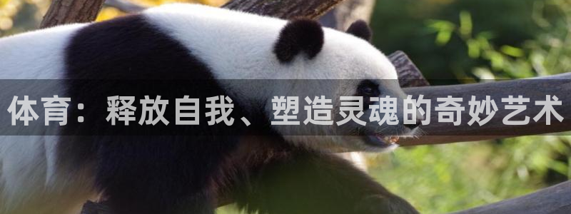 yy易游官网下载娱乐：体育：释放自我、塑造灵魂的奇妙艺术