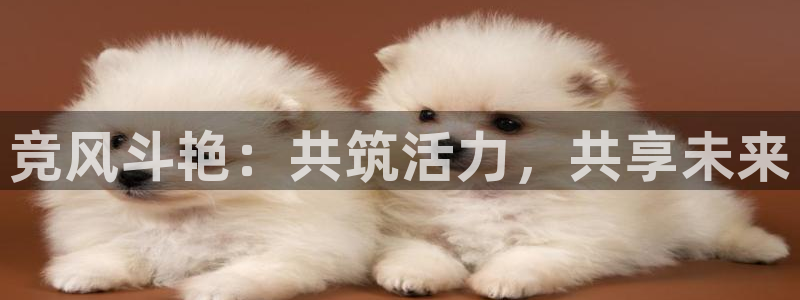 yy易游官网下载开户：竞风斗艳：共筑活力，共享未来