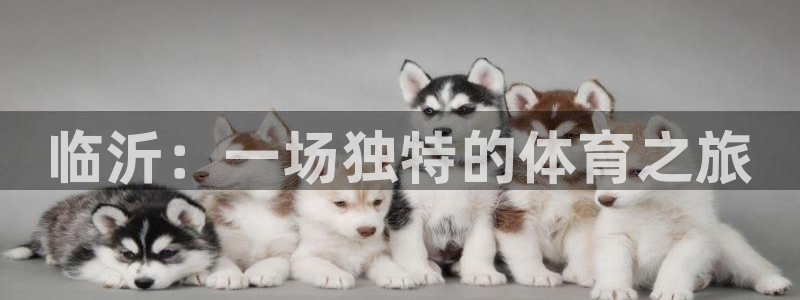 yy易游官方正版app娱乐下载：临沂：一场独特的体育之旅