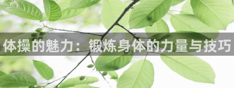 yy易游官网下载平台是正规平台吗知乎：体操的魅力：锻炼身体的