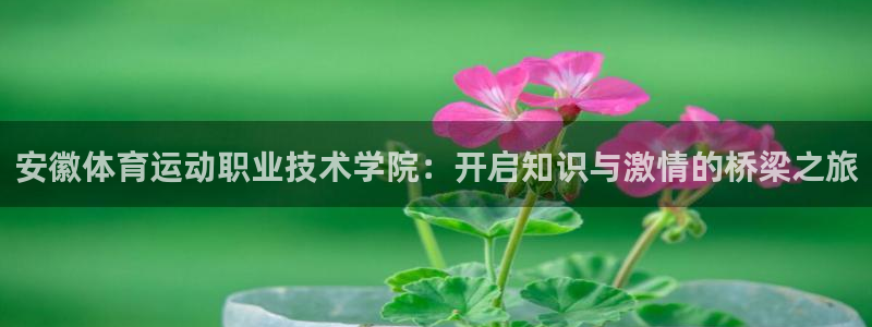 yy易游官网下载招商电话是多少啊