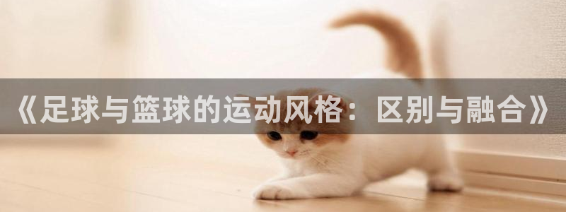 yy易游体育是什么：《足球与篮球的运