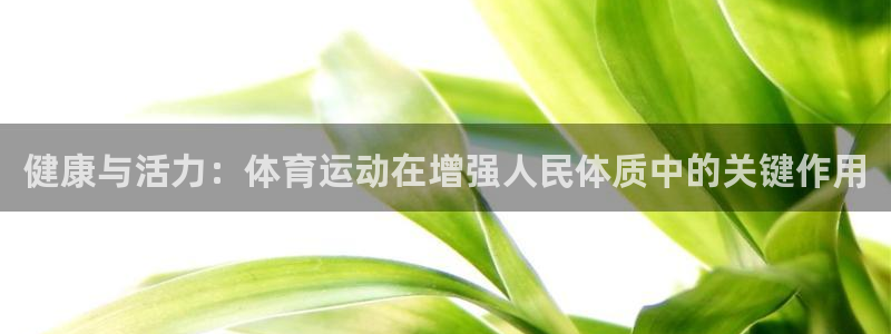 yy易游app最新版本更新内容分享：健康与活力：体育运动在增