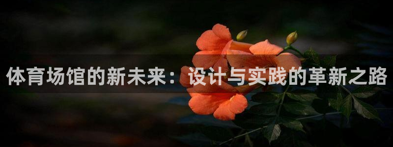  yy易游体育电竞：体育场馆的新未来：设计与实践的革新之路