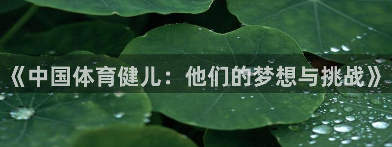  yy易游体育电竞登录不上去怎么办：《中国体育健儿：他们的梦想