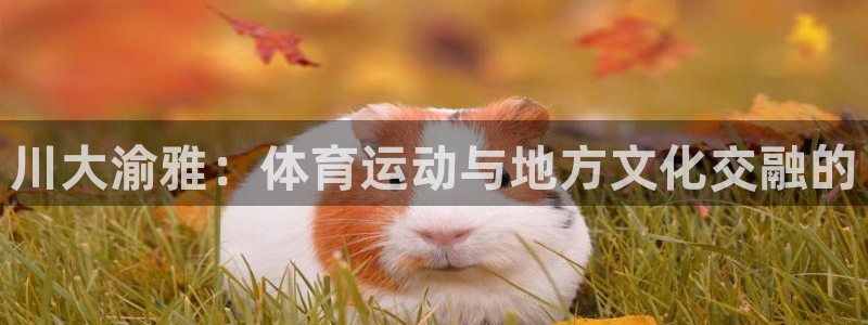  yy易游体育电竞登录不上去了：川大渝雅：体育运动与地方文化交