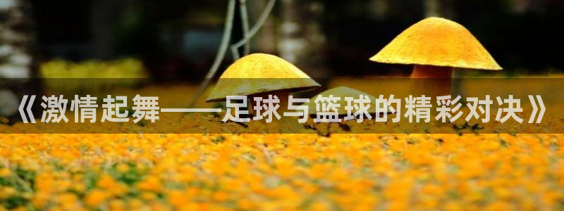 yy易游体育是正规的吗安全吗可靠吗：《激情起舞——足球与篮球