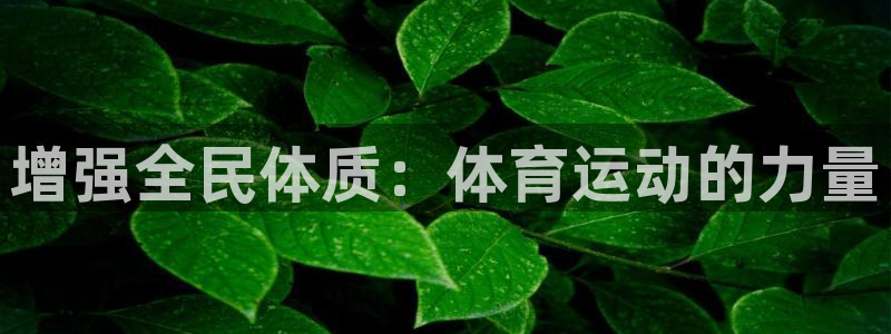  yy易游体育米乐：增强全民体质：体育运动的力量