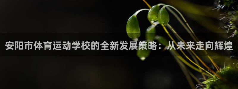 yy易游体育平台能提现吗：安阳市体育