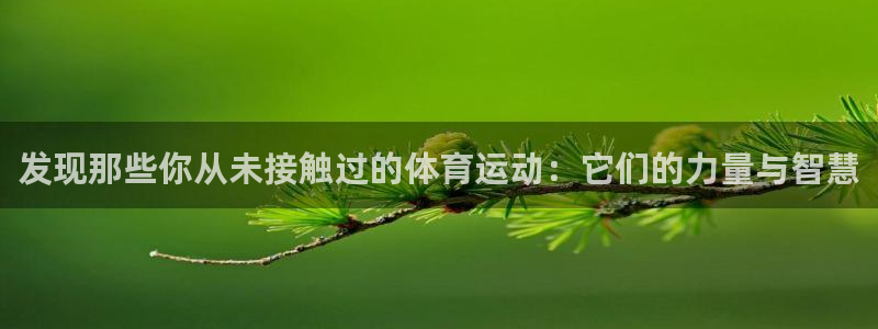 yy易游体育电竞：发现那些你从未接触过的体育运动：它们的力量
