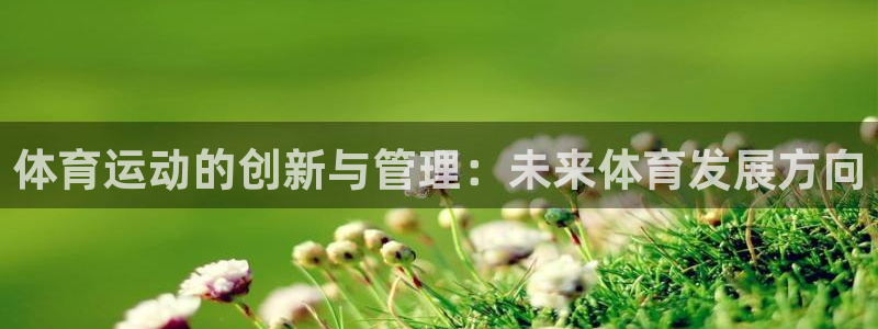 yy易游体育是正规的吗安全吗知乎：体育运动的创新与管理：未来