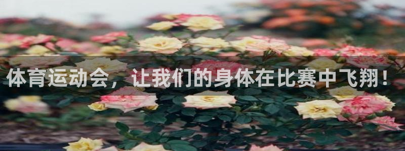 yy易游体育电竞怎么样：体育运动会，
