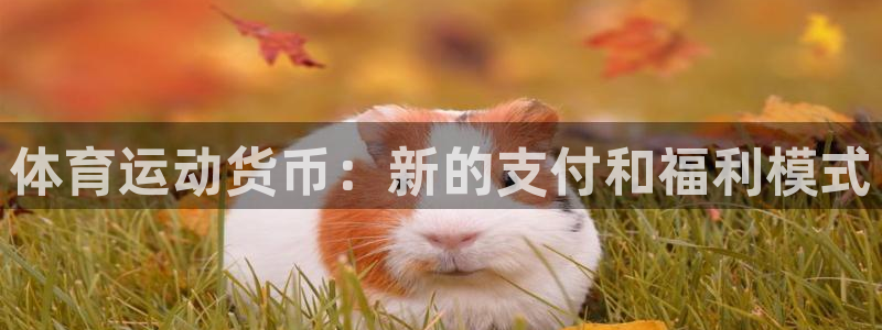 yy易游体育平台能提现吗安全吗：体育