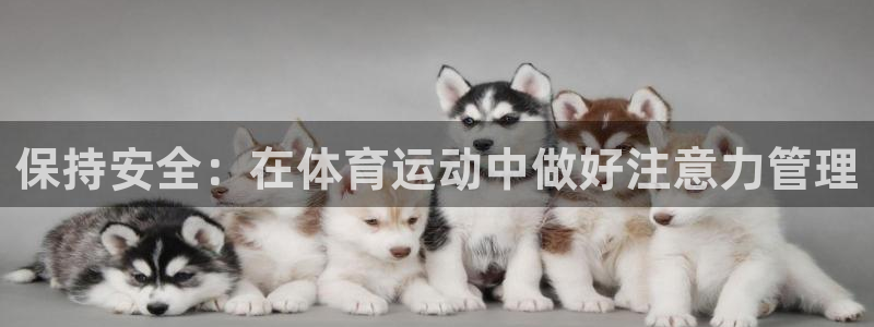 yy易游体育app最新版本更新内容是什么